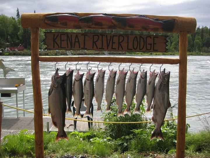 Kenai River Lodge ソルドトナ エクステリア 写真